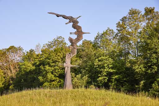 Abfahrt Kraniche Hohenwart, Altötting, Oberbayern