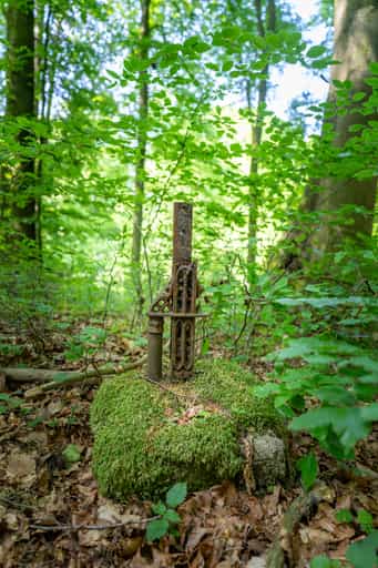 Abgesägtes Kreuz im Wald bei Kager, Reischach, Oberbayern