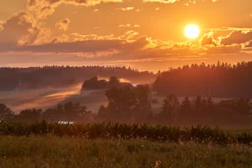 Adlstraß am Lavendelfeld, Abendstimmung, Dorfen, Oberbayern