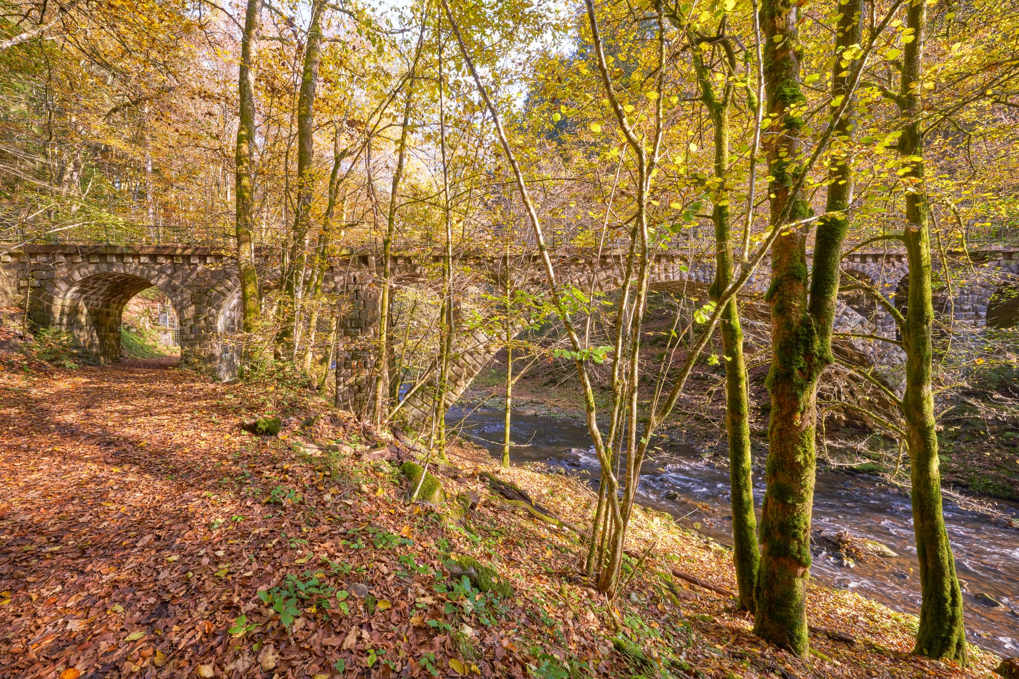 Alte Granitbahn-Brücke, Erlau Erlautal, Passau, Niederbayern - Historische Granitbahn-Brücke über den Erlau Bach im Erlautal, Thyrnau, Obernzell im Landkreis Passau, Niederbayern, Donau-Wald, Deutschland.