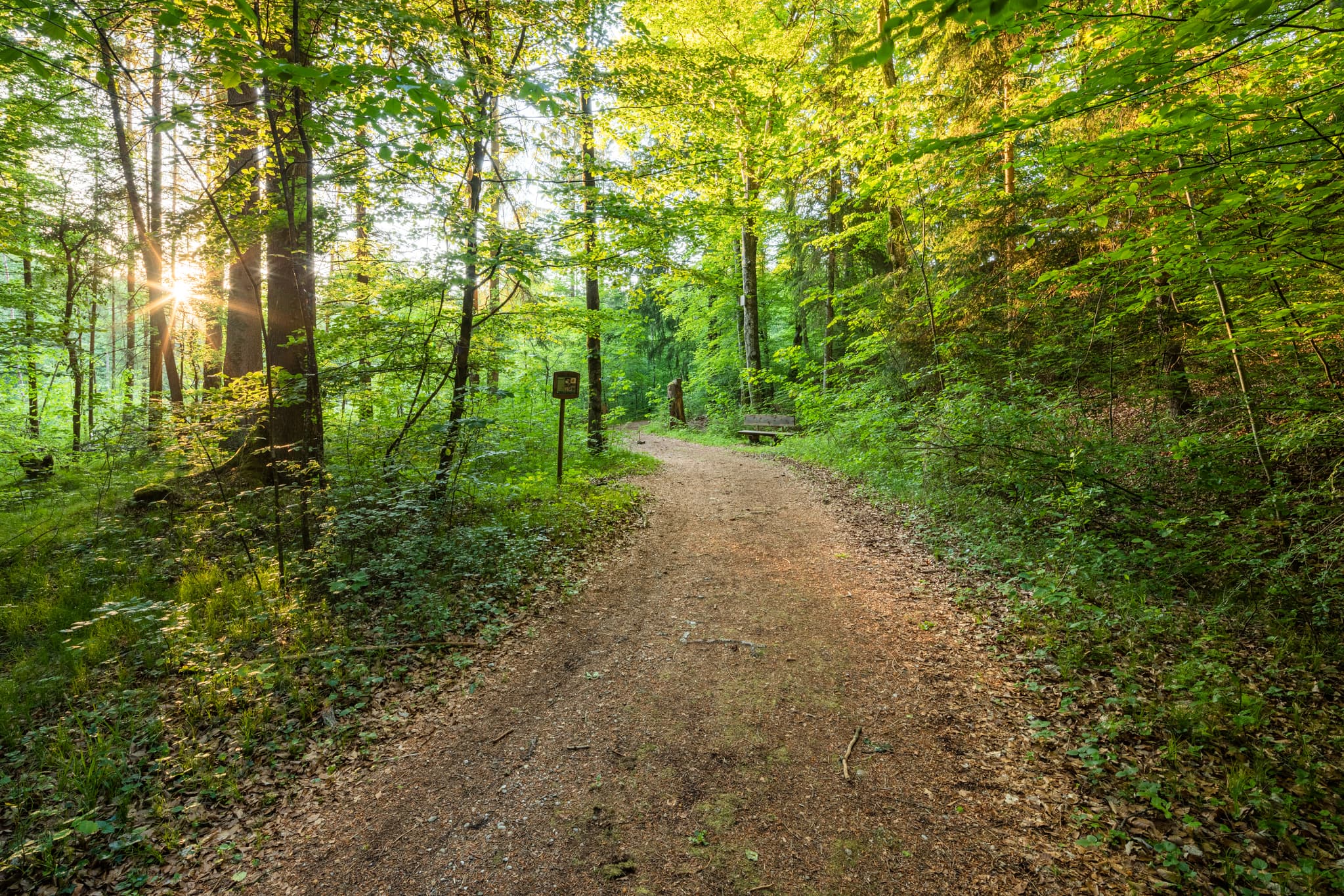 Alz Au, Klosterau Walderlebnispfad, Altötting, Oberbayern - Walderlebnispfad entlang der Alz und Au bei Mehring, Klosterau Walderlebnispfad. Naturerlebnis im Landkreis Altötting, Oberbayern, Inn-Salzach, Deutschland.