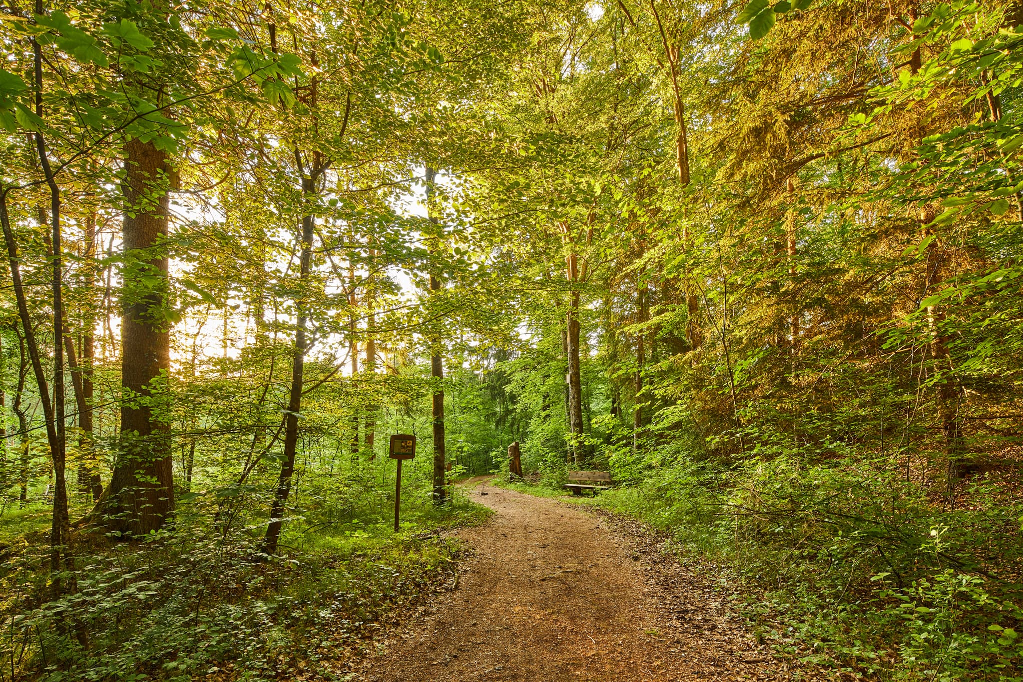Alz Au, Klosterau Walderlebnispfad, Altötting, Oberbayern - Walderlebnispfad entlang Alz und Au bei Mehring, Klosterau Walderlebnispfad. Naturerlebnis im Landkreis Altötting, Oberbayern, Inn-Salzach, Deutschland.
