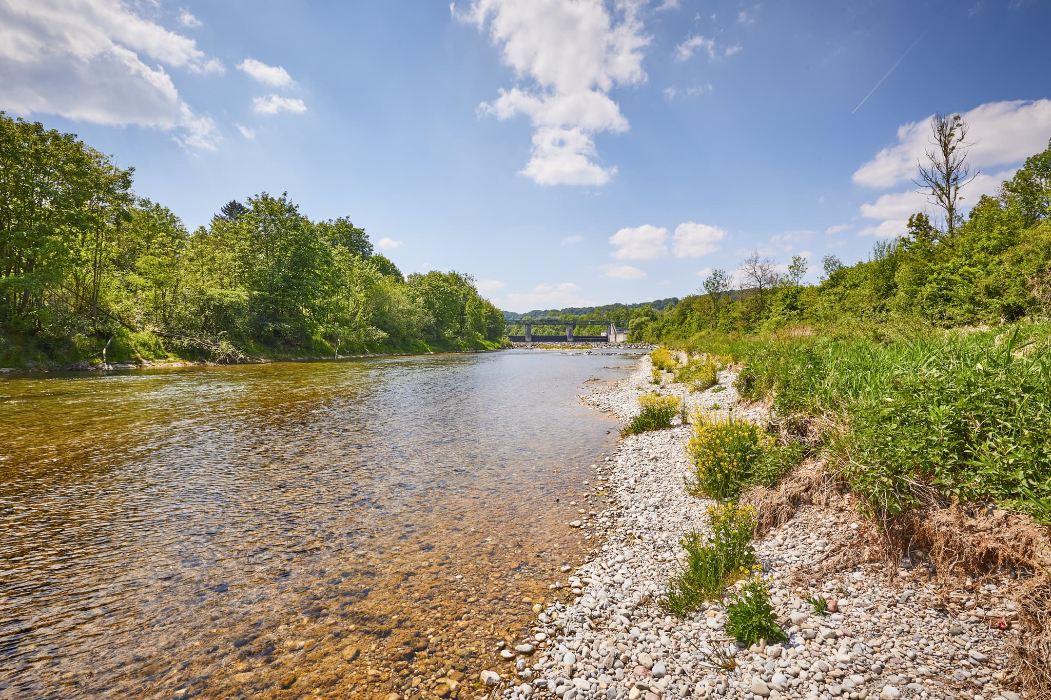 Alz Radweg bei Burgkirchen-Hirten, Oberbayern, Inn-Salzach - Idyllischer Alz Radweg entlang des klaren Flusses Alz bei Burgkirchen-Hirten, Altötting, Oberbayern, Inn-Salzach. Die Landschaft zeigt Grün und Kiesufer.