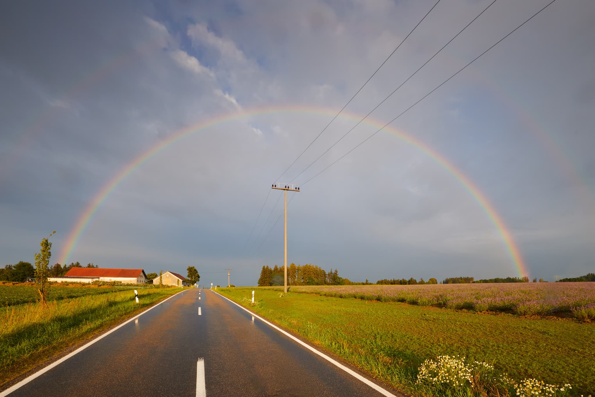 Am Lavendelfeld Adlstraß, Erding, Münchner Umland - Regenbogen über Lavendelfeld bei Adlstraß, Dorfen, Landkreis Erding, Oberbayern. Landschaft im Münchner Umland, mit Straße, Feldern, Bauernhof, Himmel.
