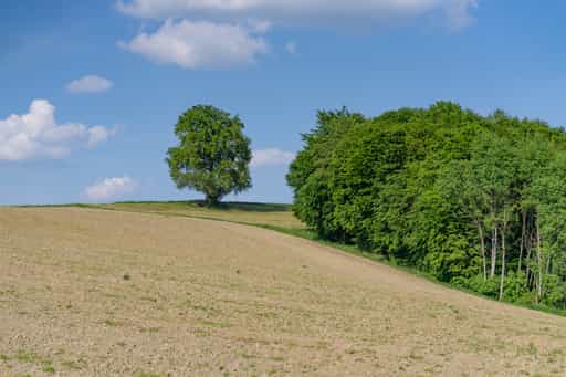 Ansicht der Friesinger Aussicht bei Reischach, Altötting
