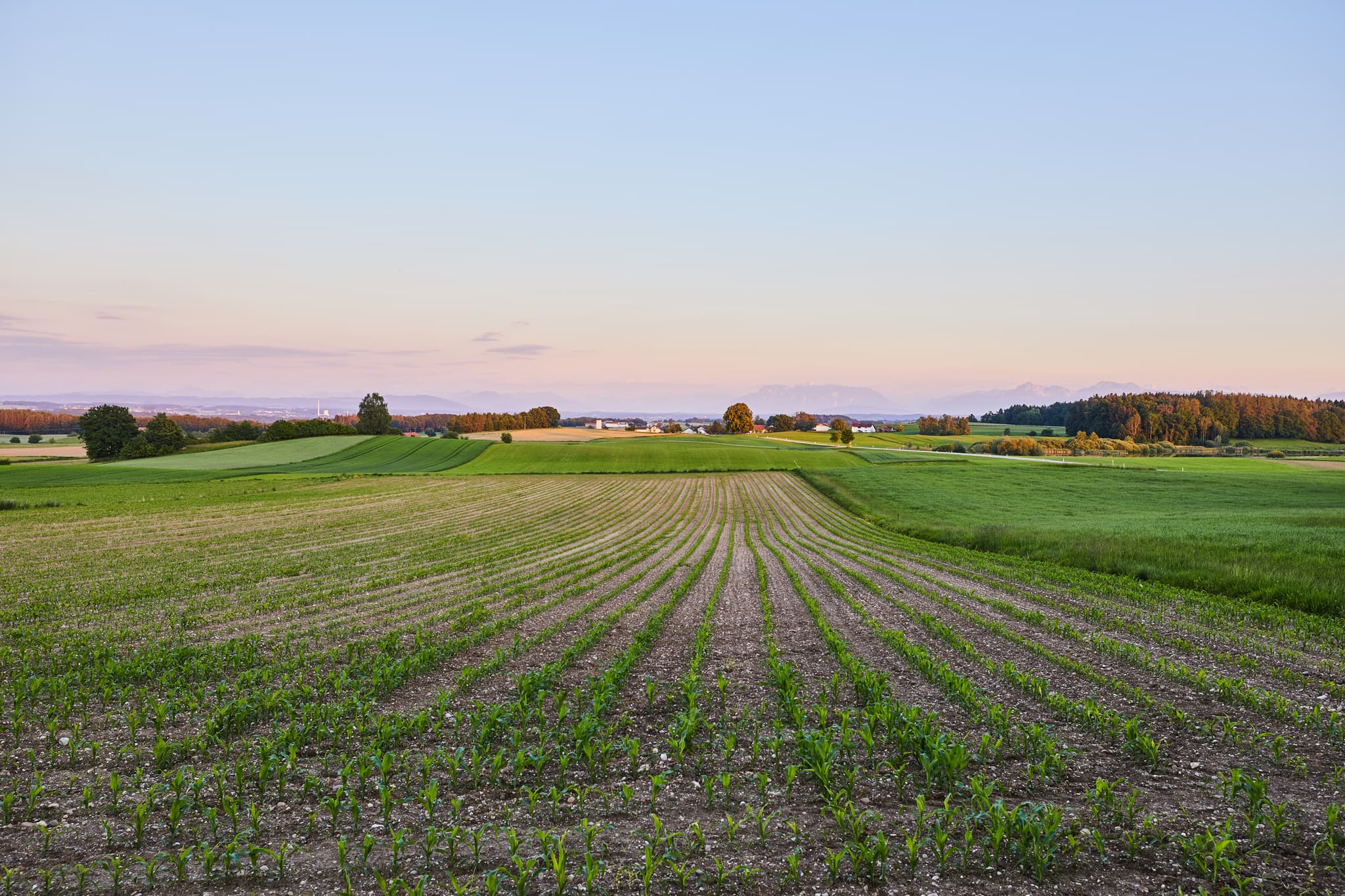 Asten Aussicht, Tittmoning, Landschaft & DorfWirtschaft - Atemberaubende Aussicht auf die Landschaft und Dorf Wirtschaft in Asten bei Tittmoning, Landkreis Traunstein. Genießen Sie die Schönheit des Rupertiwinkels.