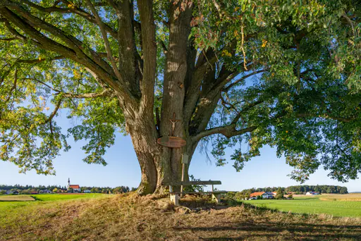 Asten Herrnsitz Linde, Tittmoning, Oberbayern: Ruhige Idylle
