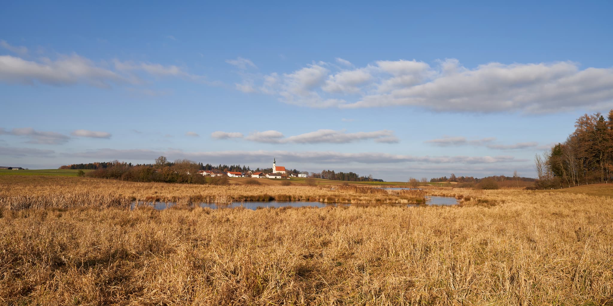 Astner Moos Landschaft, Tittmoning, Oberbayern, Inn-Salzach - Idyllische Herbstlandschaft am Astner Moos bei Tittmoning in Oberbayern, Inn-Salzach, Deutschland. Wunderschöne Natur- und Kulturlandschaft.