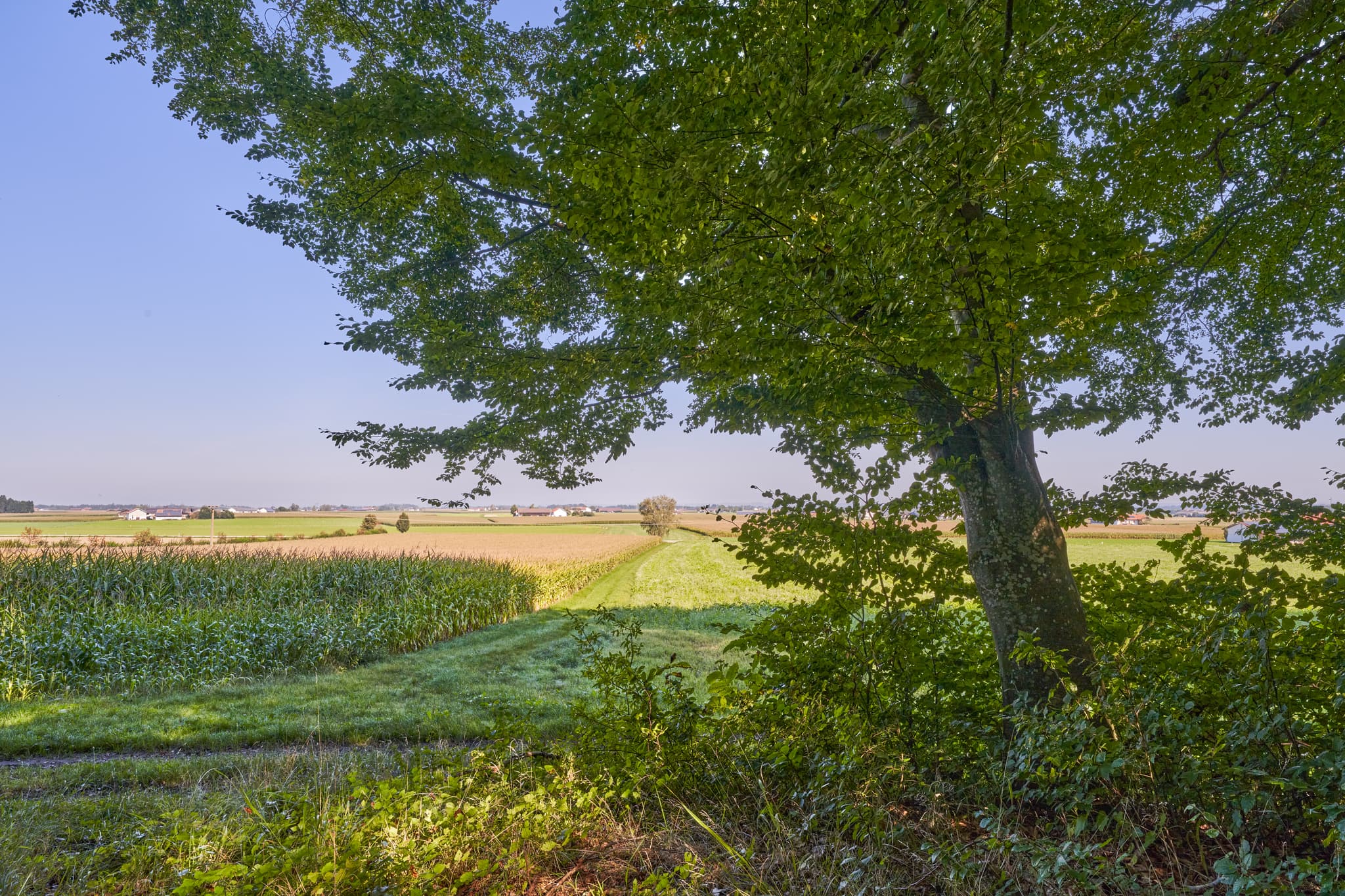 Aussicht am Steinbruch, Kastl, Altötting, Oberbayern - Weitläufige Landschaftsaufnahme nahe Kastl, Landkreis Altötting, Oberbayern, Inn-Salzach, Deutschland. Blick über Felder und einen Pilgerweg am Steinbruch.