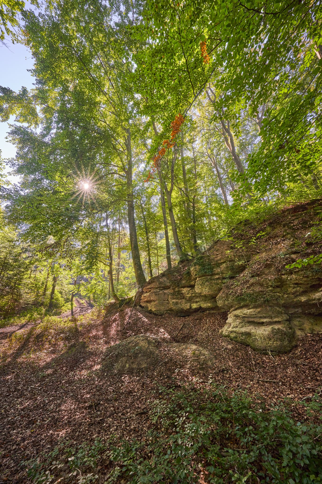 Aussicht am Steinbruch, St.-Rupert-Pilgerweg, Altötting - Steinbruch St.-Rupert-Pilgerweg Berger a. Brunn nahe Kastl, Landkreis Altötting, Oberbayern, Inn-Salzach, Deutschland. Waldlandschaft mit Felsen im Sonnenlicht.
