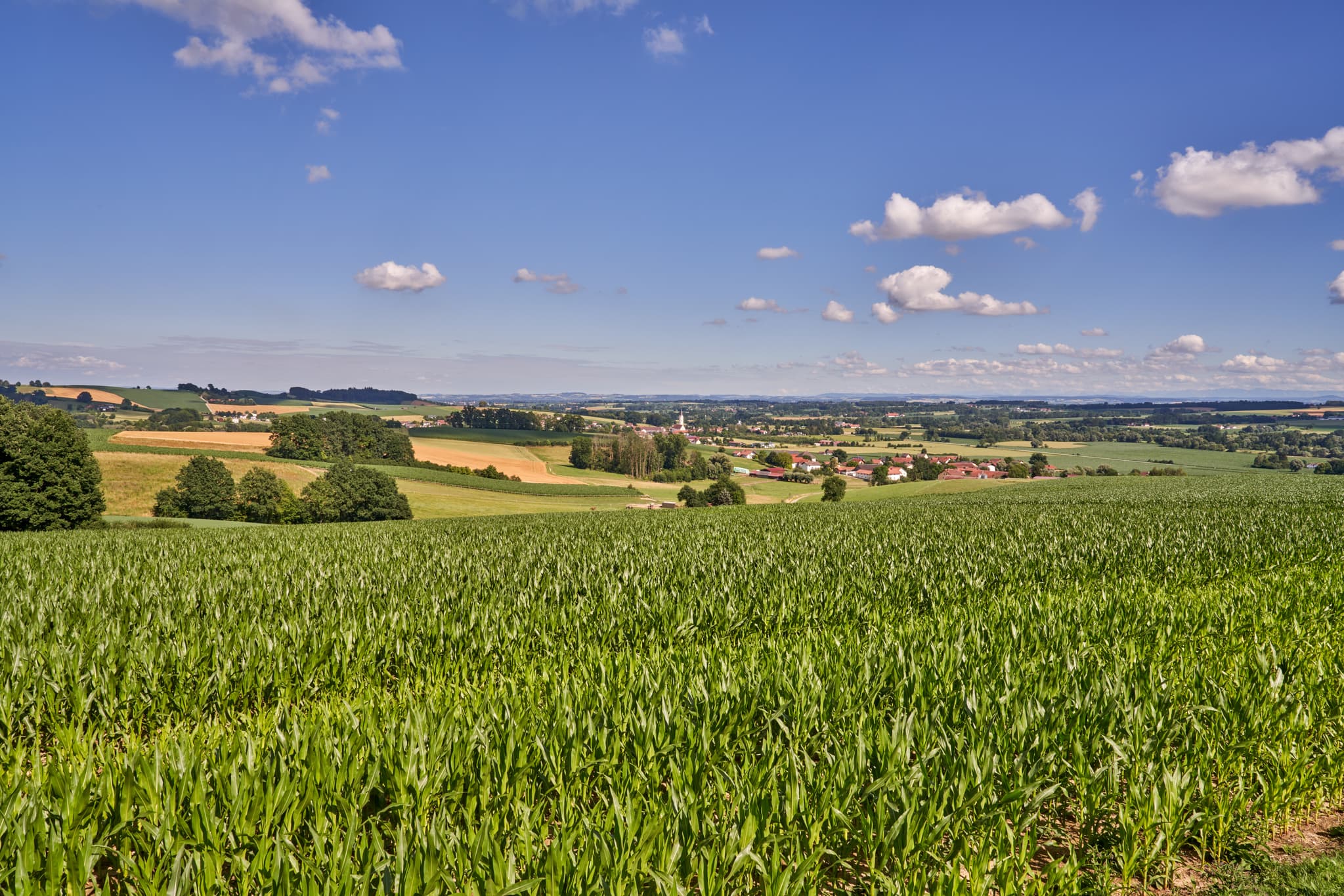 Aussicht auf Karpfham Landschaft, Bad Griesbach, Passau - Weitblick über die idyllische Landschaft bei Karpfham in Bad Griesbach, Landkreis Passau, Niederbayern.