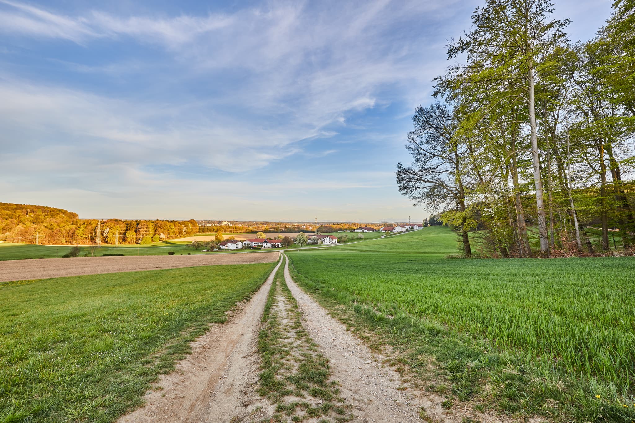 Aussicht Burghausen, Hörndlweg, Altötting, Oberbayern - Feldweg führt durch grüne Felder Hörndlweg in Mehring, Landkreis Altötting. Weite Aussicht über die Region Inn-Salzach, Oberbayern, mit Blick auf Burghausen.
