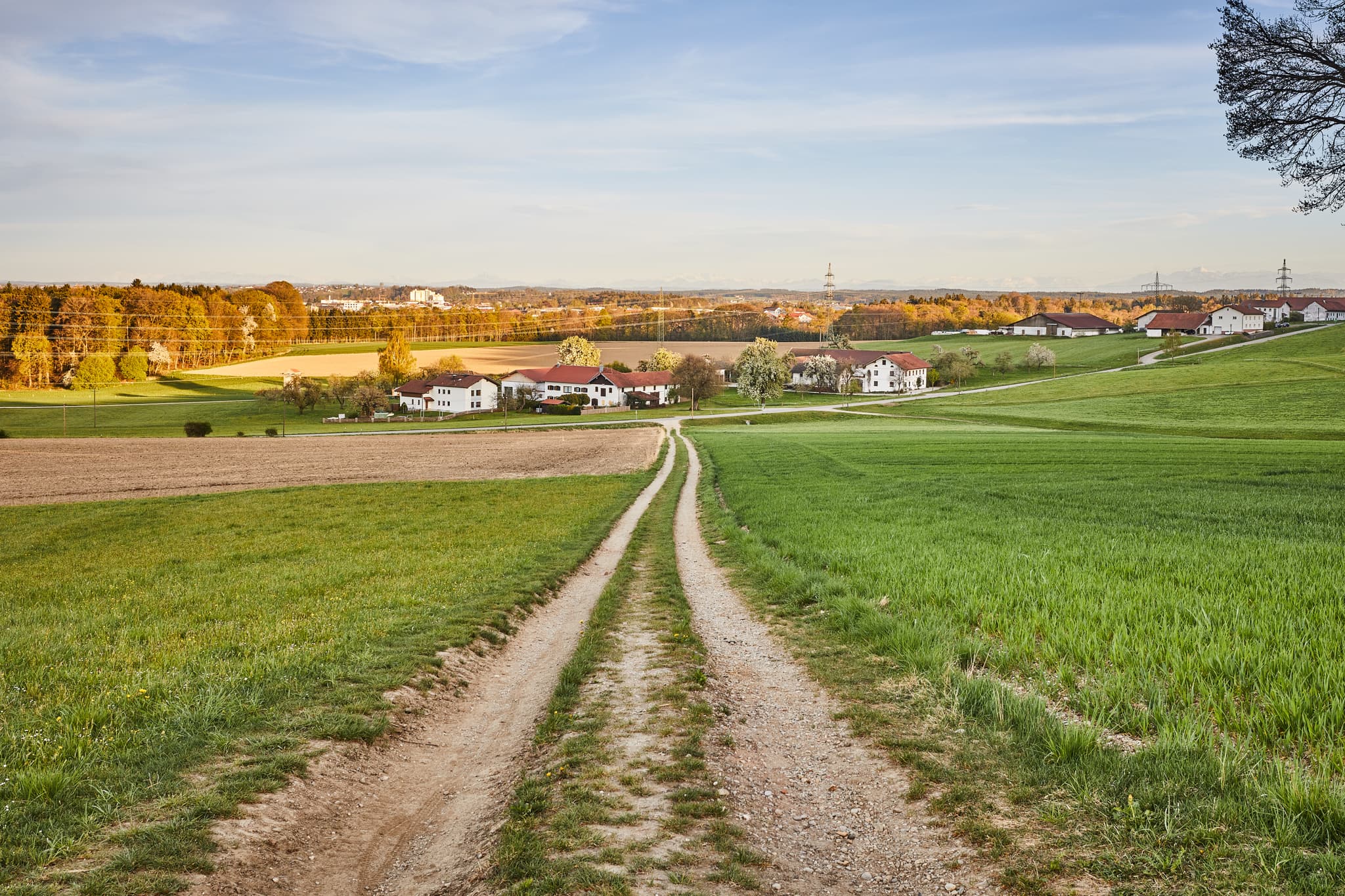 Aussicht Burghausen, Hörndlweg, Altötting, Oberbayern - Feldweg führt durch grüne Felder Hörndlweg in Mehring, Landkreis Altötting. Weite Aussicht über die Region Inn-Salzach, Oberbayern, mit Blick auf Burghausen.