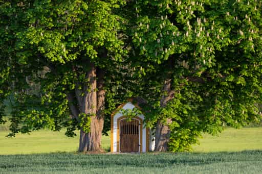 Aussicht, Hoheneck nach Aushofen, Altötting, Oberbayern