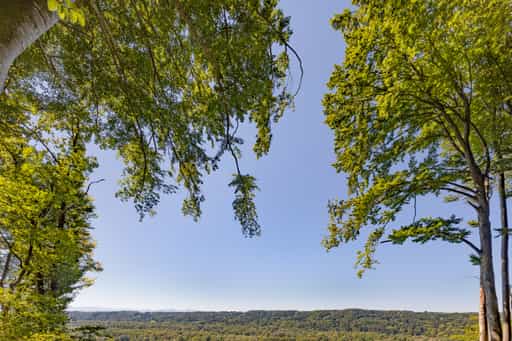 Aussicht im Wald, Hadermarkt, Braunau am Inn, Oberösterreich