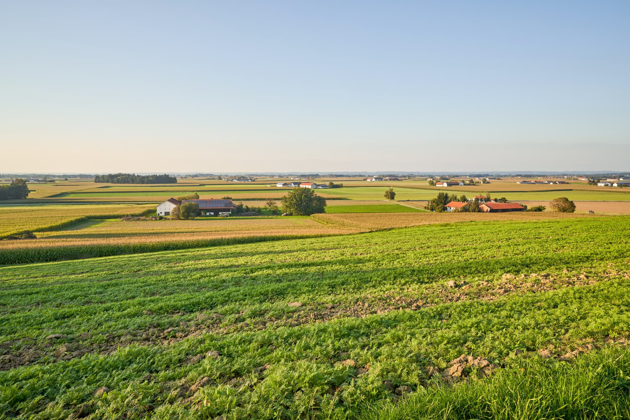 Aussicht Landschaft Hörmann, Unterneukirchen, Altötting - Weite Landschaftsaufnahme aus Hörmann, Gemeinde Unterneukirchen, Altötting. Zeigt Felder und Häuser in der Region Inn-Salzach, Oberbayern, Deutschland.