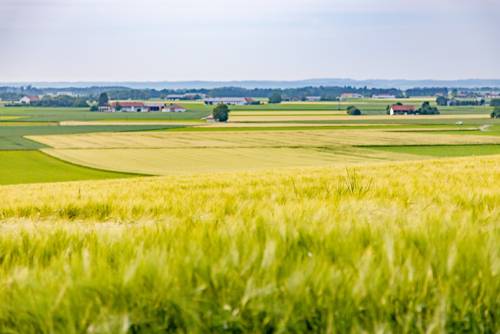 Aussicht Oberschroffen, Unterneukirchen, Altötting - Felder und sanfte Hügel charakterisieren diese Landschaft bei Oberschroffen, Unterneukirchen. Landkreis Altötting, Oberbayern, Region Inn-Salzach, Deutschland.