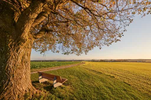 Aussicht Rainbichl Linde, Tyrlaching, Altötting, Oberbayern