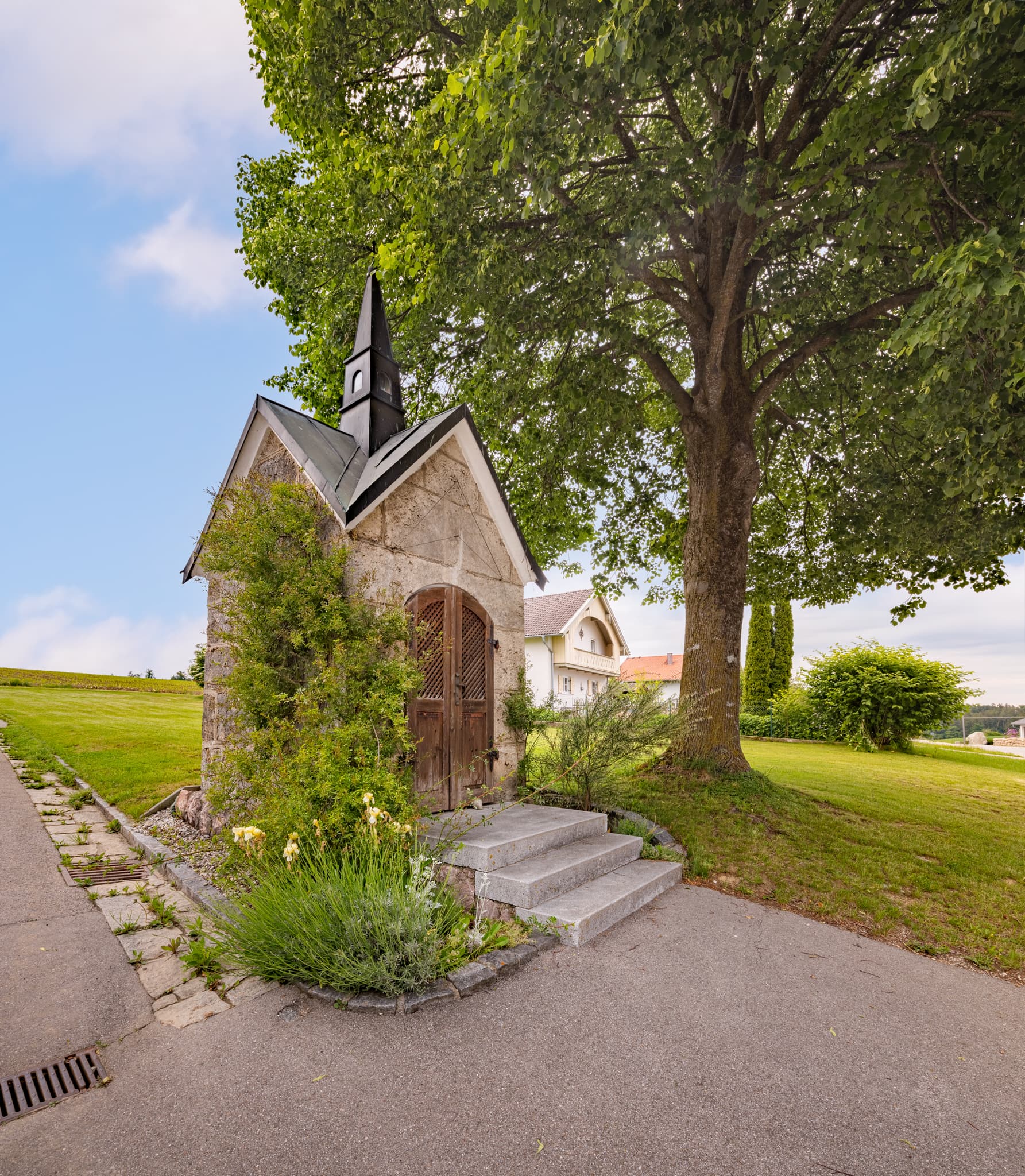 Aussicht Rainbichl Linde, Tyrlaching, Altötting, Oberbayern - Linde mit Sitzbank auf einem Feld in Rainbichl, Gemeinde Tyrlaching, Landkreis Altötting, Oberbayern, Region Inn-Salzach, Deutschland.