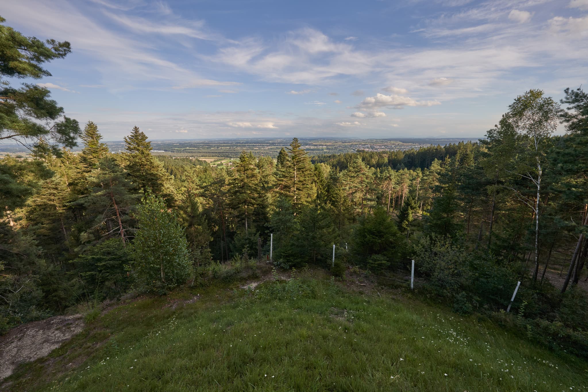 Aussicht Schwammerl, am Schellenberg, Simbach, Rottal-Inn