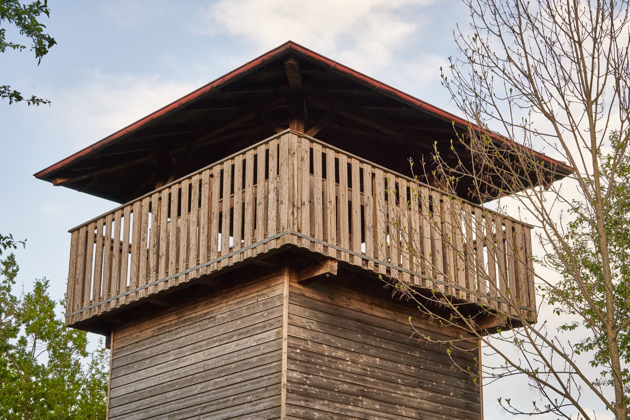Aussichtsturm, Vogelturm vom Parkplatz Ering am Inn - Holz-Aussichtsturm Vogelturm in Ering am Inn, Landkreis Rottal-Inn, Europareservat Unterer Inn, Niederbayern, Region Inn-Salzach, Deutschland.