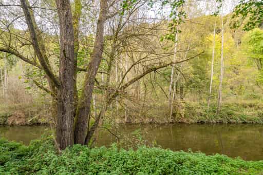 Auwald an der Isen, Winhöring, Altötting, Oberbayern