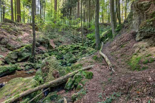 Bachlauf im Ameringer Graben, Stubenberg, Rottal-Inn