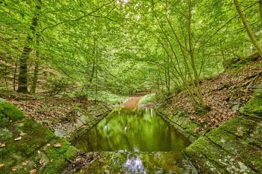 Bachlauf im Wald, Birnbach, Altötting, Oberbayern