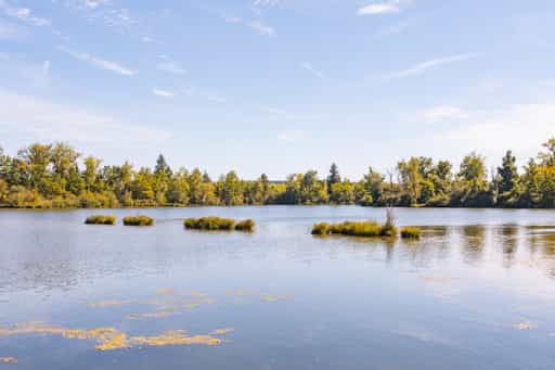 Badesee Simbach, Waldsee Lago Kirchdorf, Rottal-Inn
