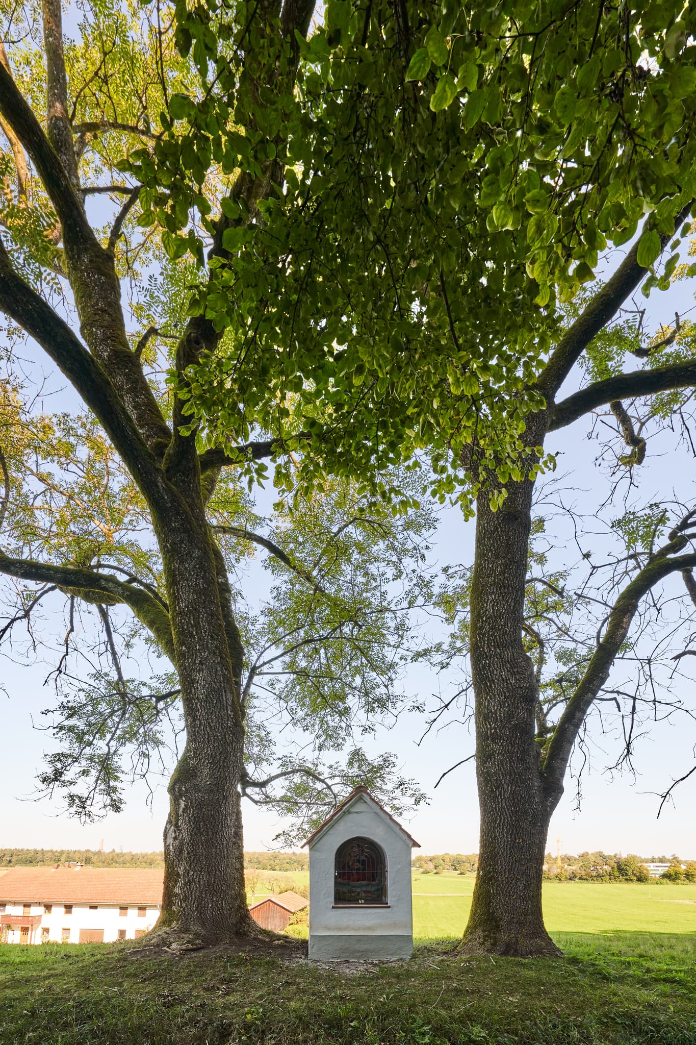 Badhöring Bildstock Wolfgangweg, Mehring, Altötting - Bildstock am Wolfgangweg in Badhöring, Mehring, Altötting, Oberbayern. Zwischen alten Bäumen in ländlicher Umgebung der Region Inn-Salzach, Deutschland.