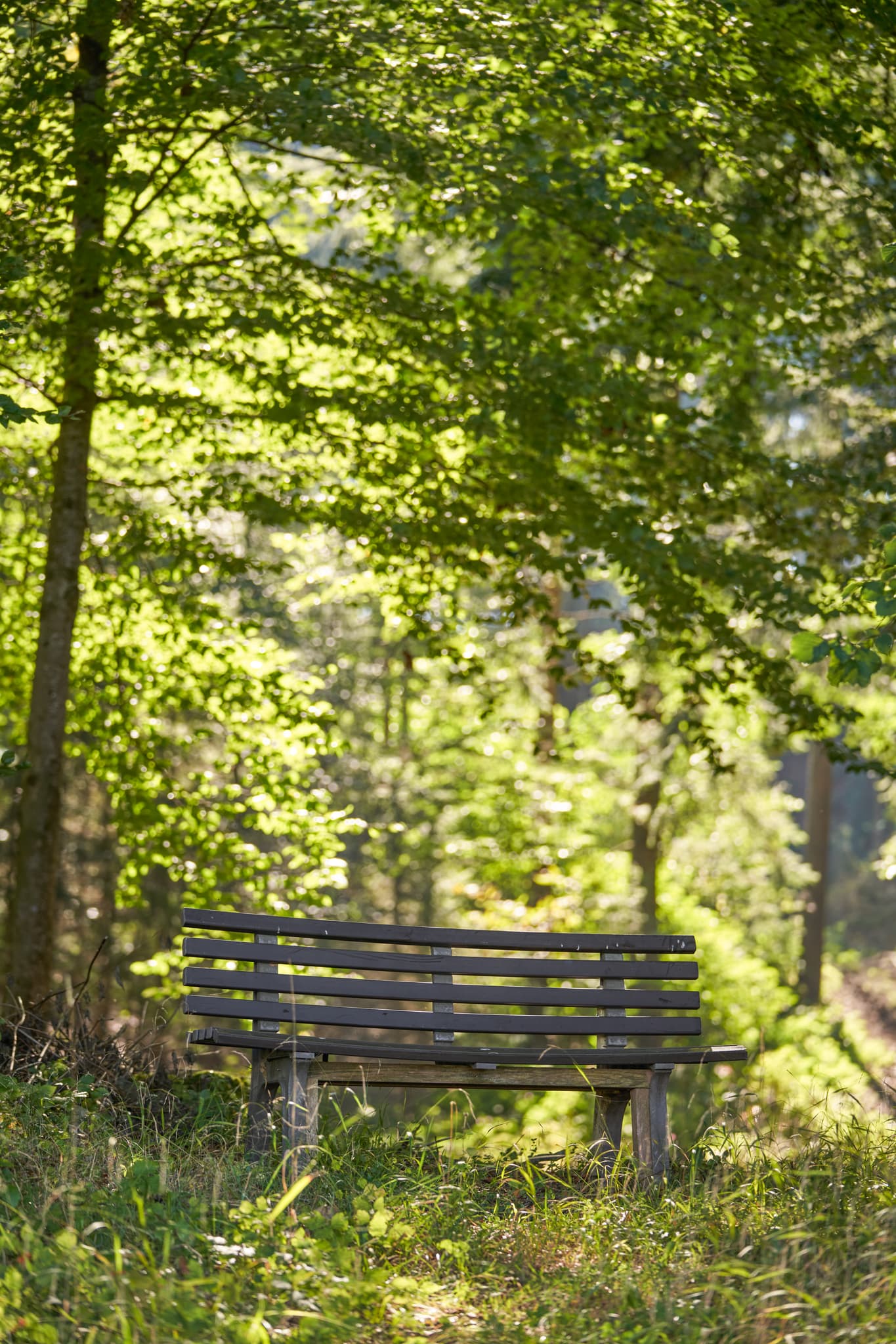 Bank am Steinbruch, St.-Rupert-Pilgerweg Berger a. Brunn - Parkbank am St.-Rupert-Pilgerweg Berger a. Brunn, nahe Kastl im Landkreis Altötting, Oberbayern, Deutschland. Natur und Wald der Region Inn-Salzach.