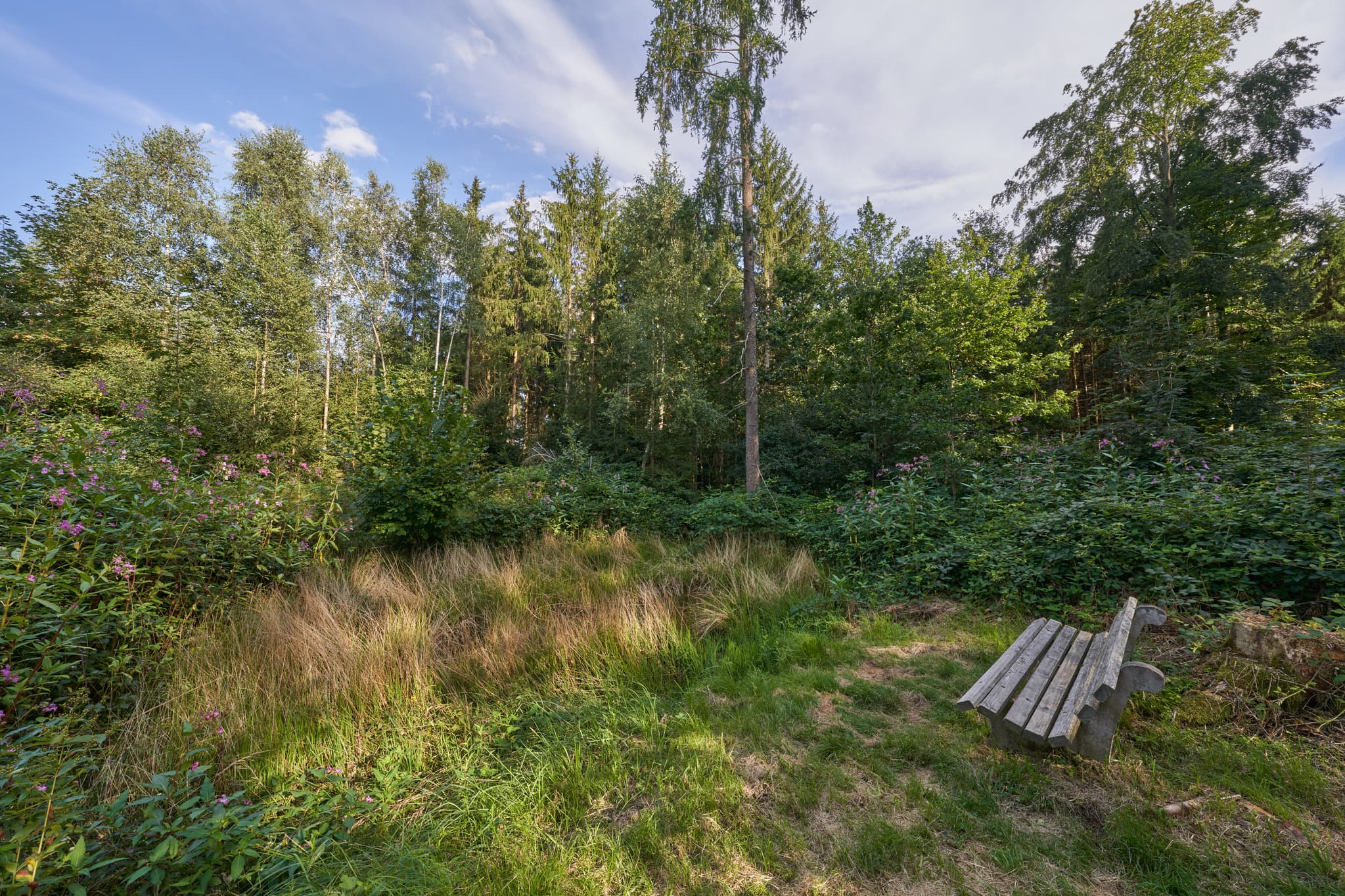 Bank an Kapelle, Schellenberg, Rottal-Inn