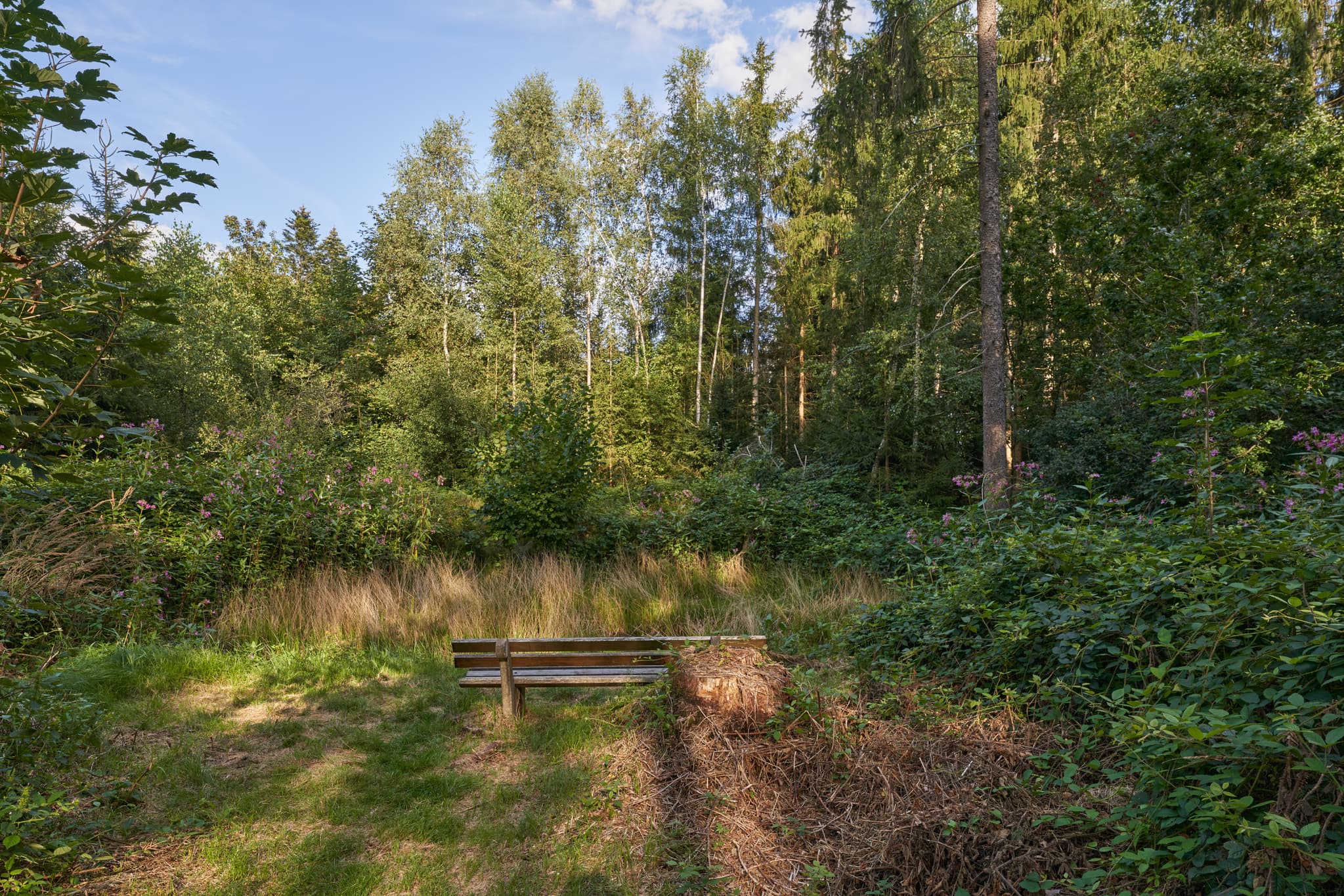 Bank an Kapelle, Simbach am Inn, Rottal-Inn