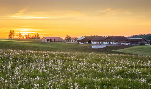 Bauernhofidylle, Sonnenuntergang in Hummelsberg, Rottal-Inn