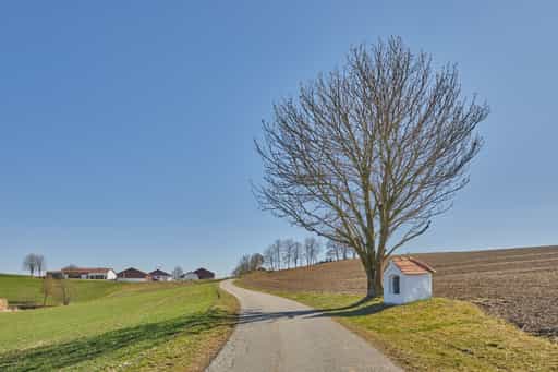 Baum mit Bildstock, Birnbach, Altötting, Oberbayern