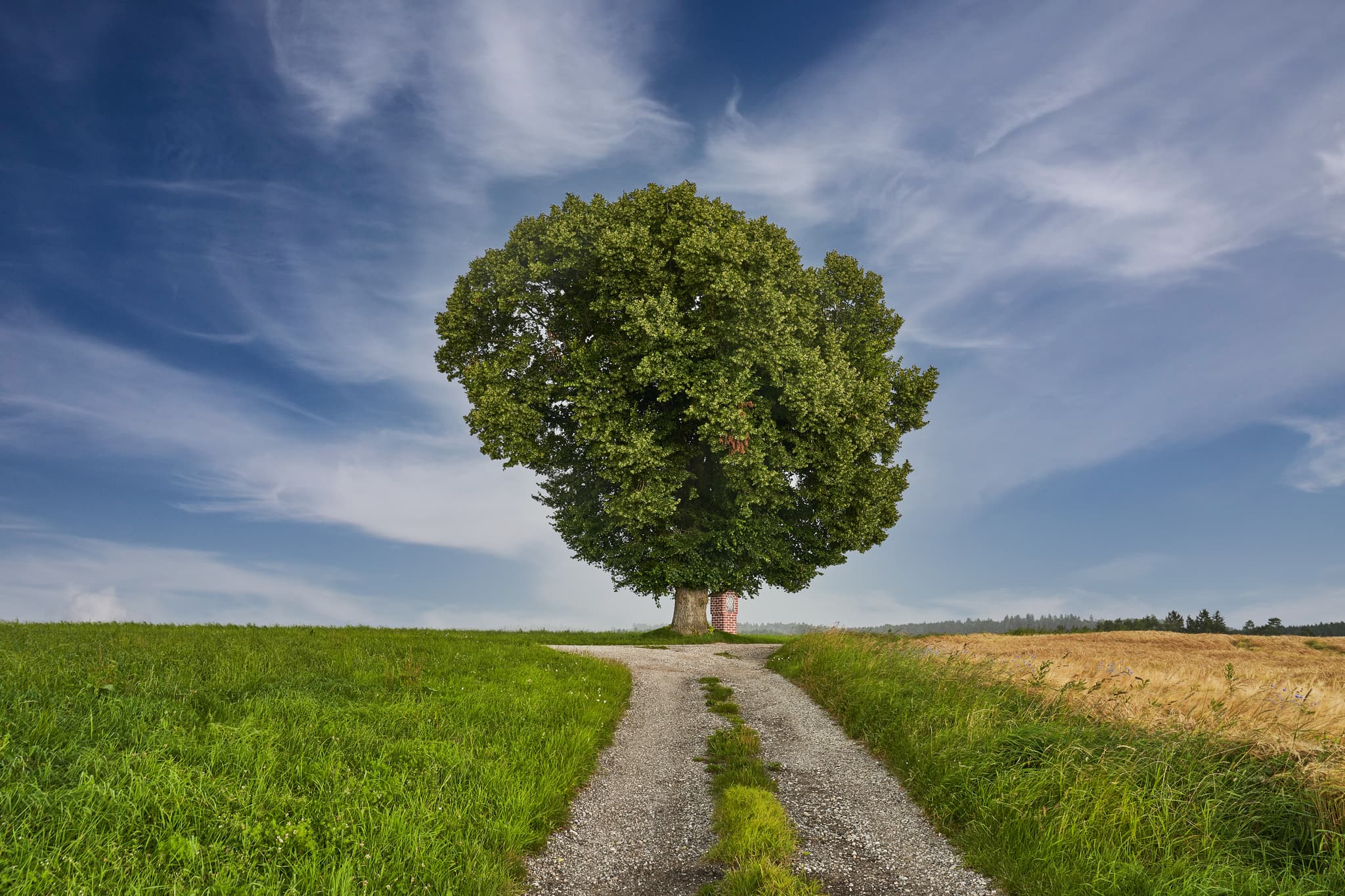 Baum mit Bildstock, Wald bei Winhöring, Altötting - Einzelner Baum und Bildstock auf einem Feld bei Wald bei Winhöring, Pleiskirchen, Landkreis Altötting, Oberbayern, Inn-Salzach, Deutschland.