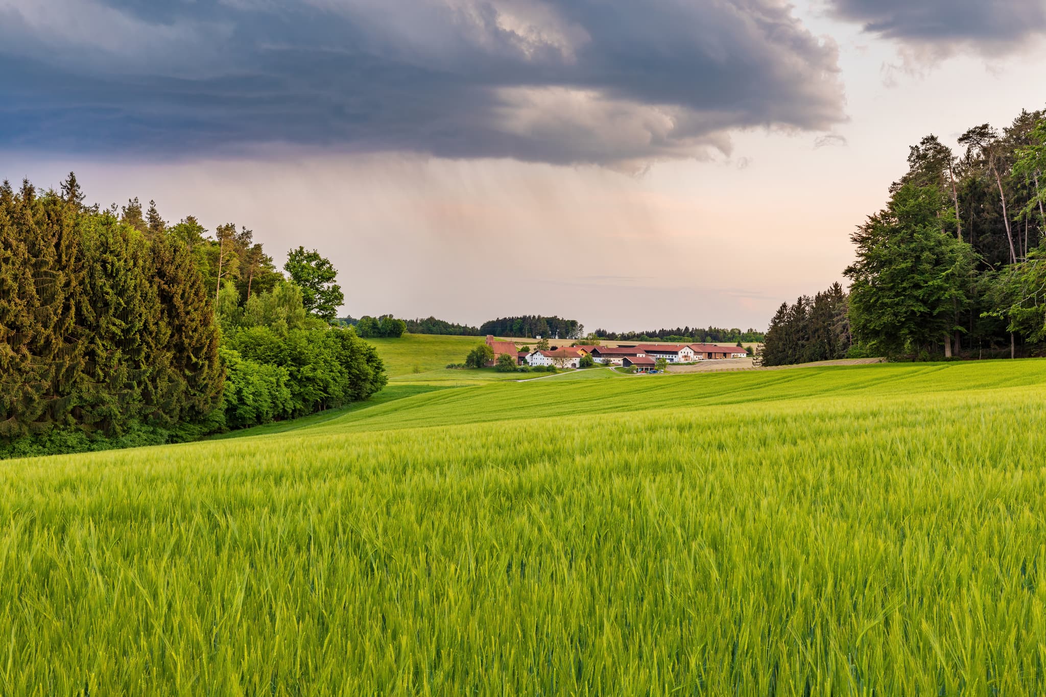Berg Regen, Reischach, Altötting, Oberbayern, Inn-Salzach - Landschaft bei Berg Regen, Reischach, Altötting: Grüne Felder, bewaldete Hügel. Ein Hof liegt in der Inn-Salzach Region Oberbayerns.