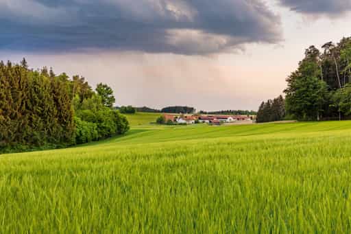 Berg Regen, Reischach, Altötting, Oberbayern, Inn-Salzach