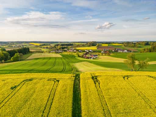 Biberg mit Rapsfeldern, Holzham Luftbild, Arbing, Altötting