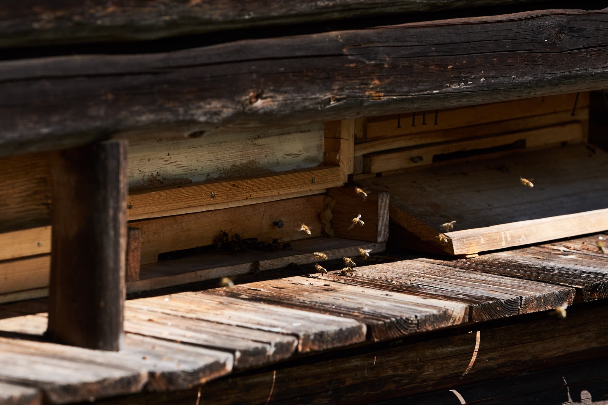 Bienenhaus an der Klausenkirche, Töging, Oberbayern - Ein malerisches Bienenhaus an der Klausenkirche in Töging am Inn, Landkreis Altötting, Oberbayern. Die Region Inn-Salzach bietet idyllische Motive.