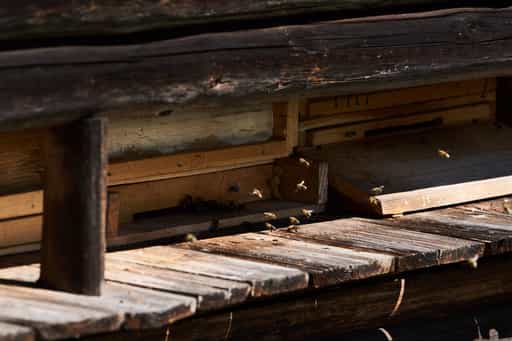Bienenhaus an der Klausenkirche, Töging, Oberbayern