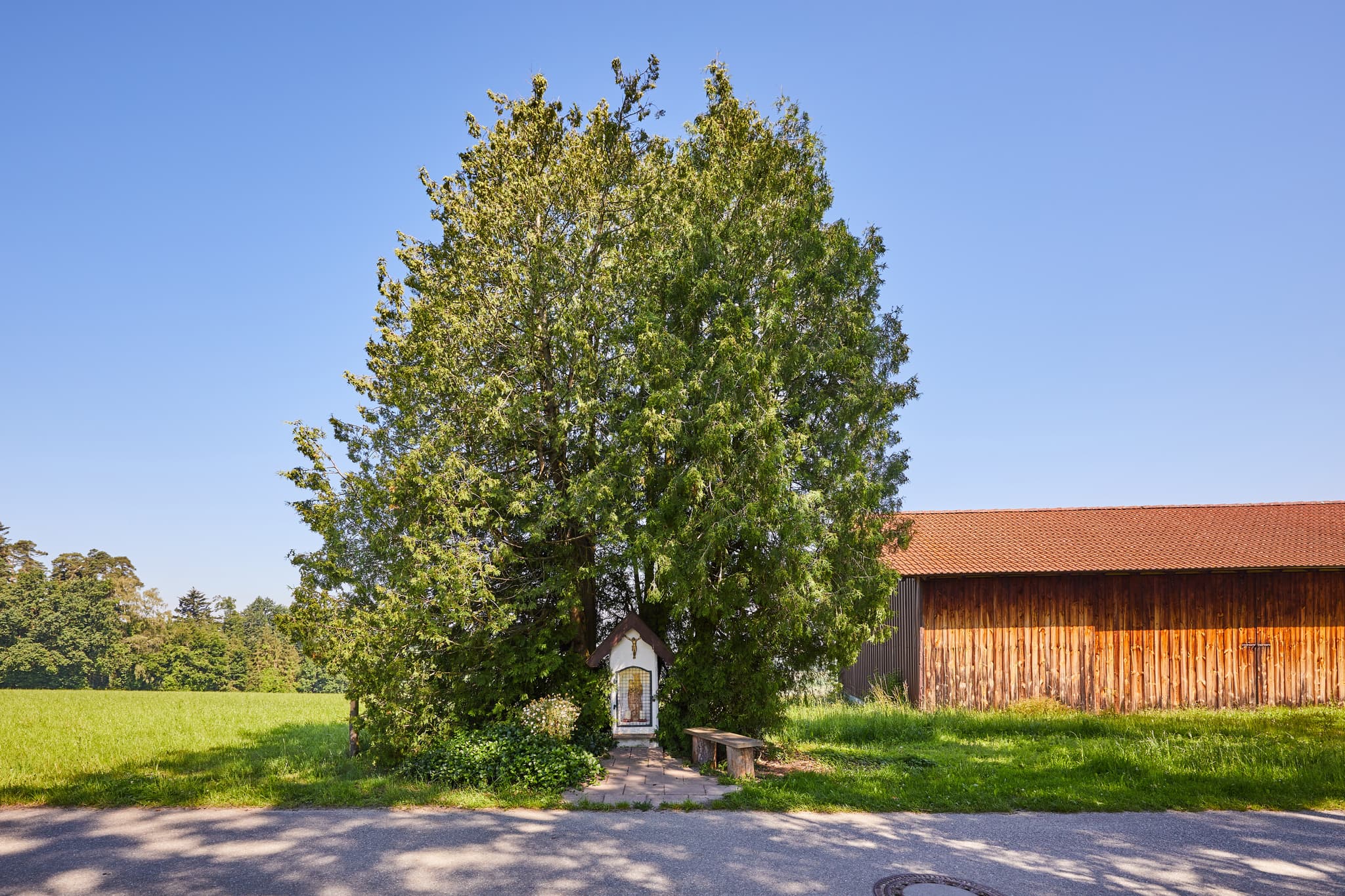 Bildstock, Glatzberg, Mühldorf am Inn, Oberbayern - Bildstock unter einem Baum in Glatzberg, Heldenstein. Ländliche Landschaft im Landkreis Mühldorf am Inn, Oberbayern, Deutschland, prägt die Inn-Salzach Region.