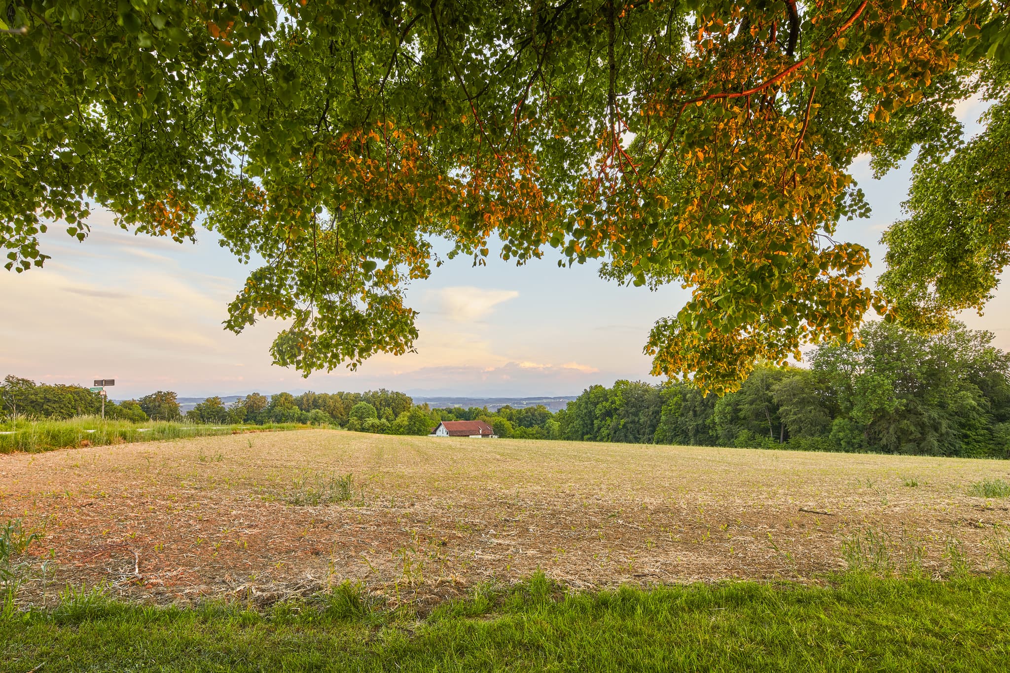 Bildstock mit Baum Aussicht, Winterberg, Mühldorf am Inn - Panoramaaussicht von Winterberg, Gars am Inn, Mühldorf am Inn, Oberbayern. Bildstock mit Baum über weite Felder der Inn-Salzach-Region in Deutschland.