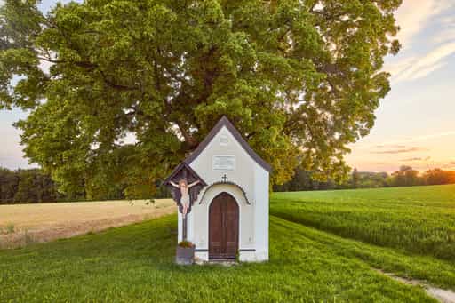 Bildstock mit Baum Winterberg, Mühldorf am Inn, Oberbayern