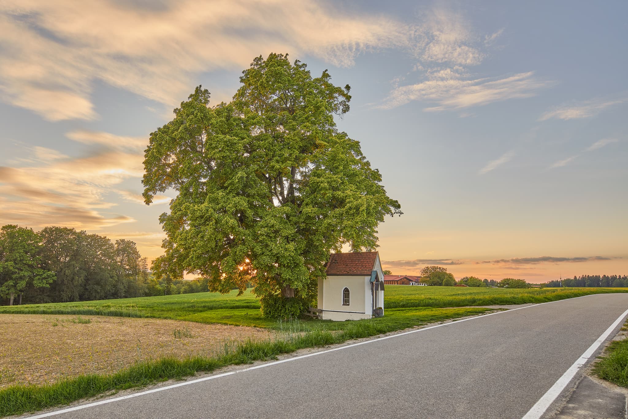 Bildstock mit Baum, Winterberg, Mühldorf am Inn, Oberbayern - Bildstock mit Baum am Feldweg in Winterberg, Gars am Inn, Landkreis Mühldorf am Inn, Oberbayern. Ländliche Landschaft in der Region Inn-Salzach, Deutschland.