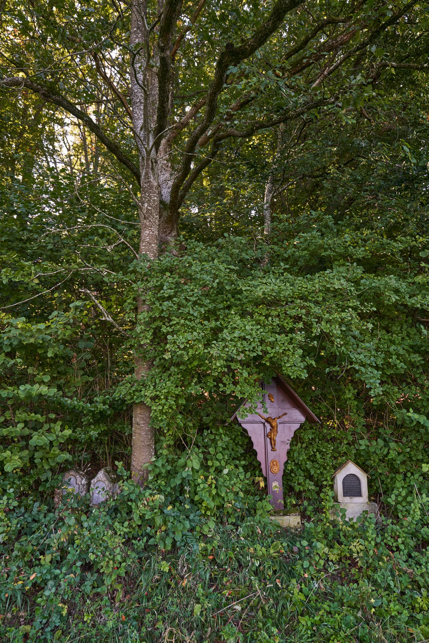 Bildstöcke, Kreuz am St.-Rupert-Pilgerweg, Altötting - Wegkreuz am St.-Rupert-Pilgerweg bei Kastl im Landkreis Altötting, Oberbayern. Motiv aus der Region Inn-Salzach, Deutschland, eingebettet in grüne Natur.