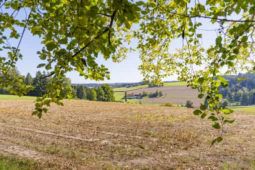 Blick nach Apfelbach, Wanderweg 2 Lapperding nach Guteneck