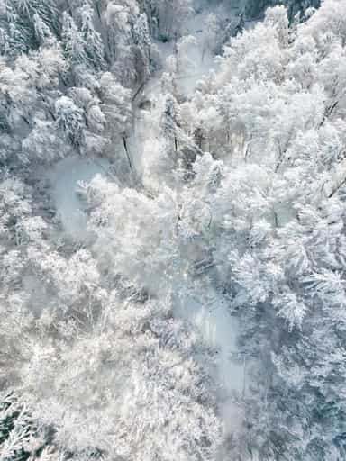 Bruckberg Serpentinen bei Schneebruch, in Marktl am Inn