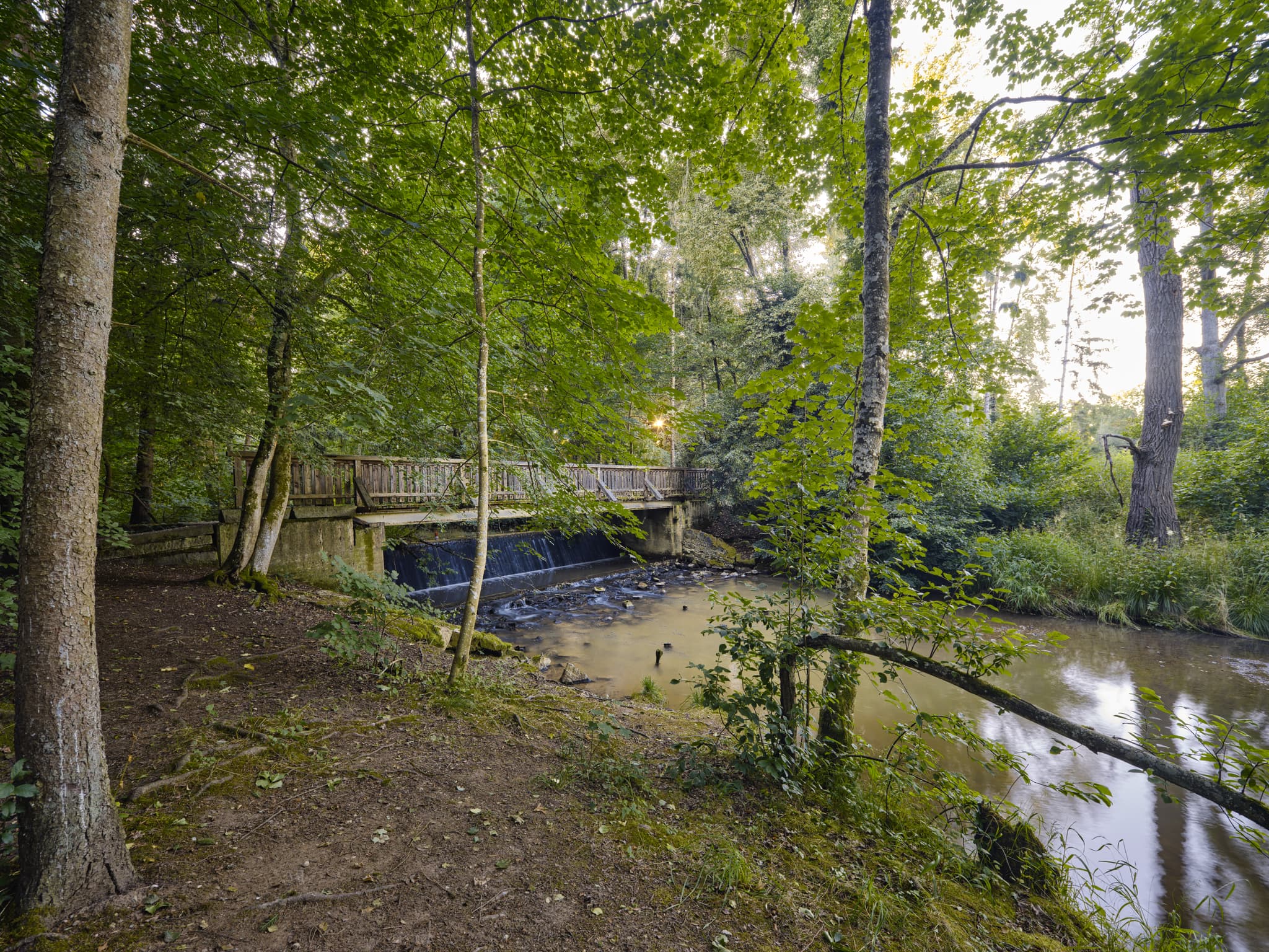 Brücke im Lichtlberger Wald, Gern, Eggenfelden, Niederbayern - Holzbrücke im Lichtlberger Wald, Gern, Eggenfelden, Rottal-Inn, Niederbayern, Deutschland. Natürliche Waldlandschaft mit Bach und Wasserfall im letzten Licht.