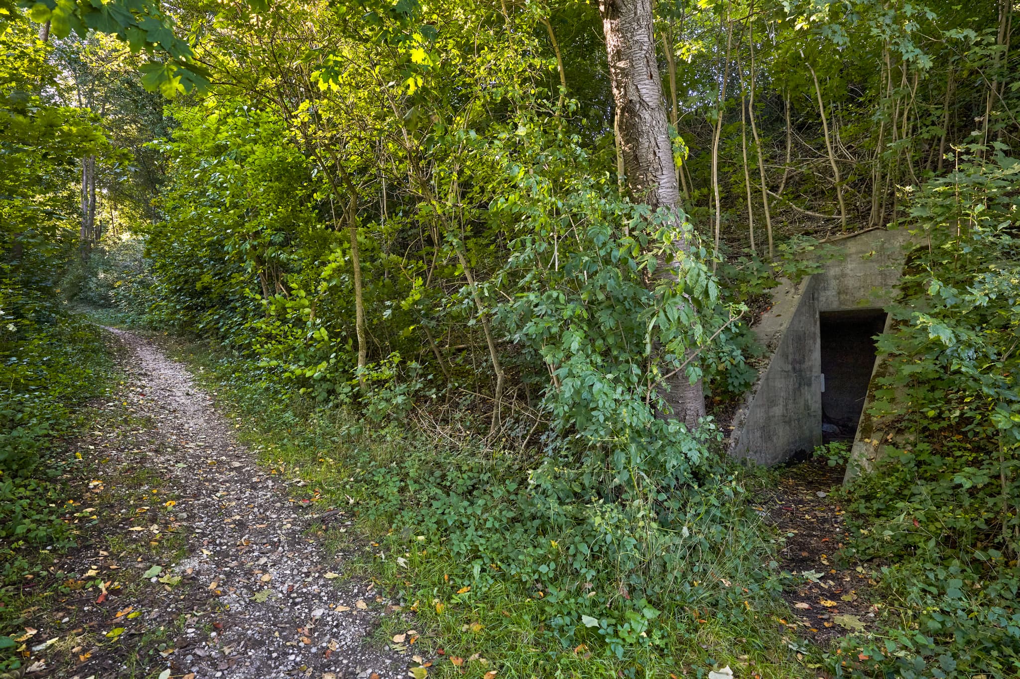 Bunkeranlage Ecksberg Altmühldorf, Oberbayern Inn-Salzach - Eine alte Bunkeranlage (Rundeg) in Ecksberg Altmühldorf, Mühldorf am Inn, Oberbayern, Inn-Salzach, Deutschland. Zwei massive Betonwände umrahmen den Eingang.